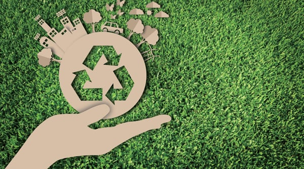 Sustainable Innovation in The Hygiene Industry: From Materials To Packaging